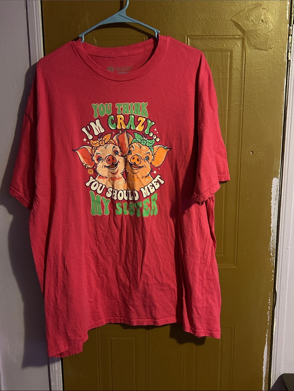 women’s Pink Graphic Tee - "You Think I'm Crazy"